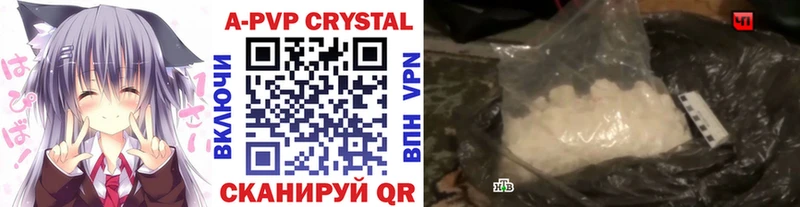 APVP СК Колпашево