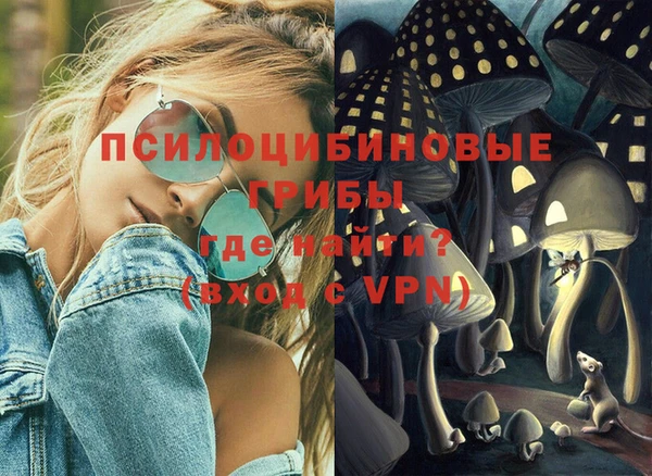 бошки Кинешма